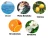 6147.webp