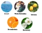 6147.webp