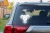 13216.webp