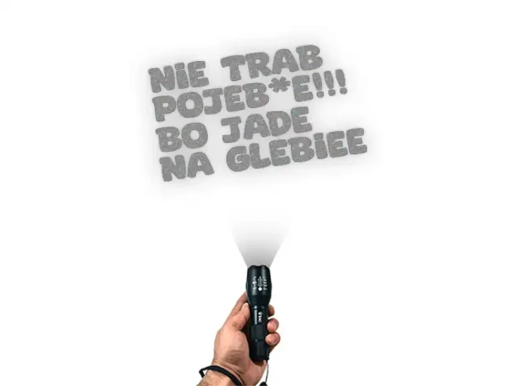 13436.webp