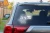 13474.webp
