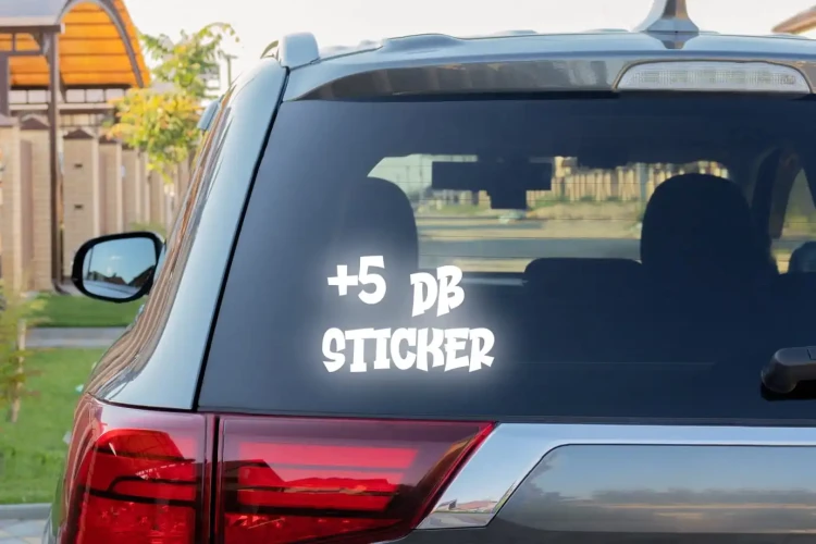 13184.webp