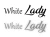 13231.webp