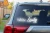 13234.webp