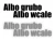13605.webp