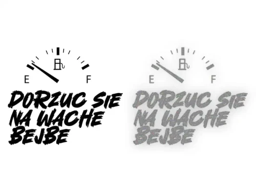 13265.webp