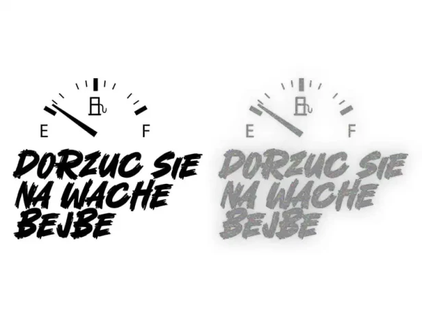 13265.webp