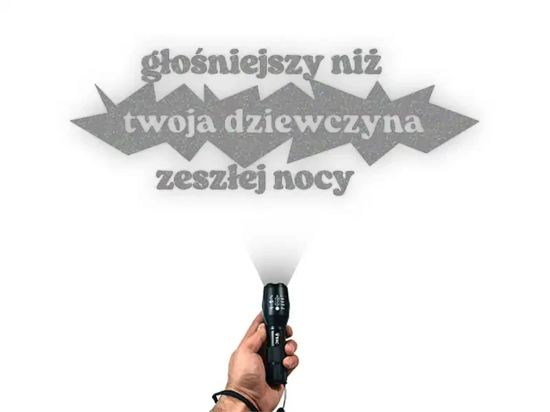 13660.webp