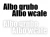 13603.webp
