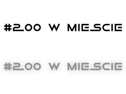 13569.webp