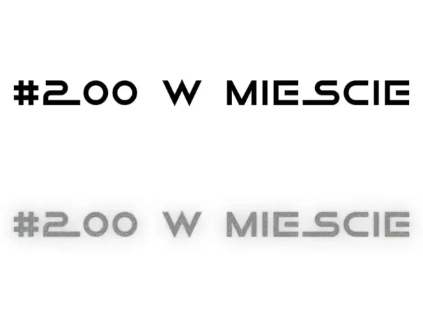 13569.webp
