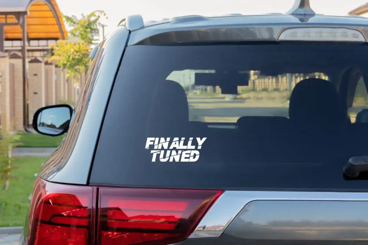 5257.webp