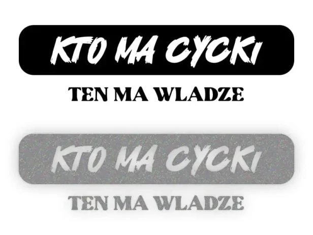 13669.webp