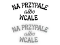 13429.webp
