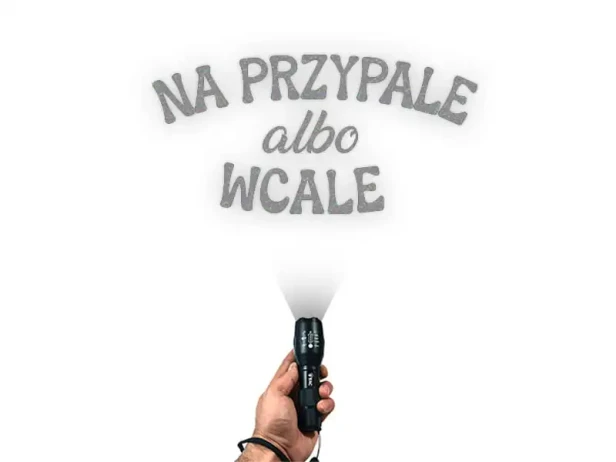 13430.webp