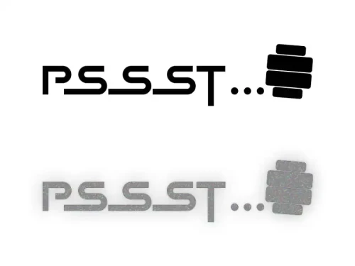 13491.webp