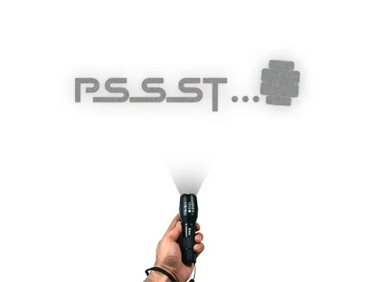 13492.webp
