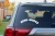 13508.webp