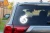 13714.webp
