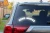 13512.webp