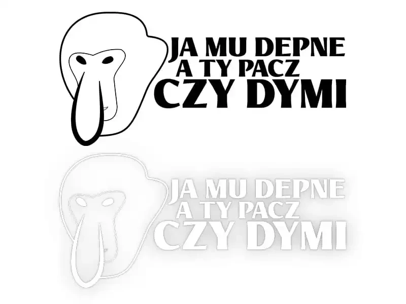 13337.webp