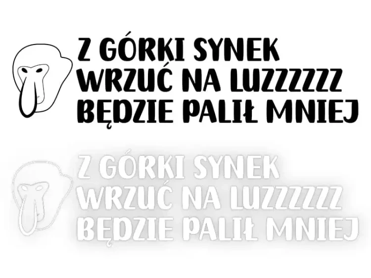 13241.webp