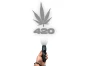 13678.webp