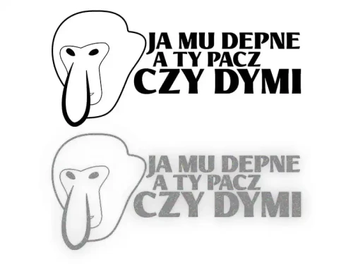 13339.webp