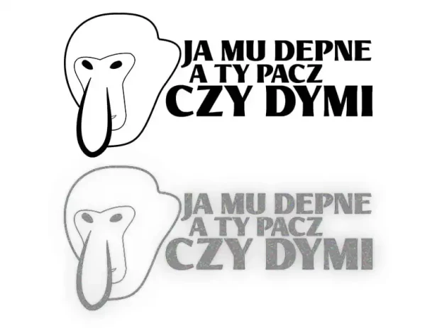 13339.webp