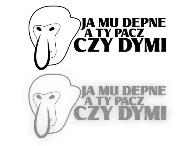 13339.webp
