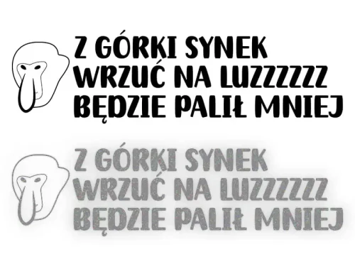 13243.webp