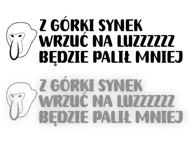 13243.webp