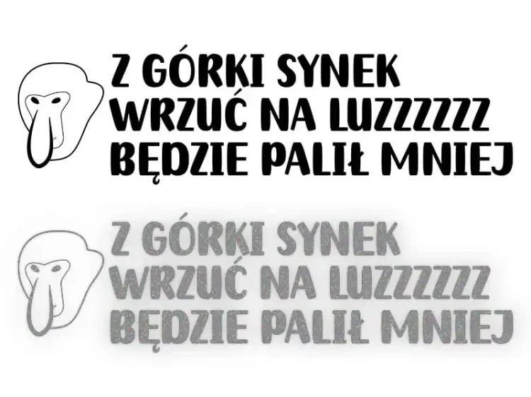 13243.webp