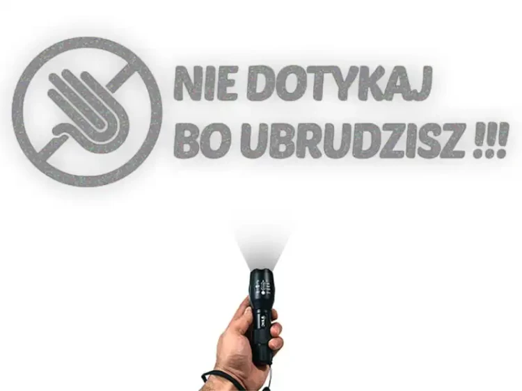 4847.webp