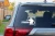 13533.webp