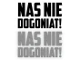4821.webp