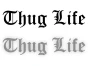 4737.webp