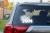 13650.webp