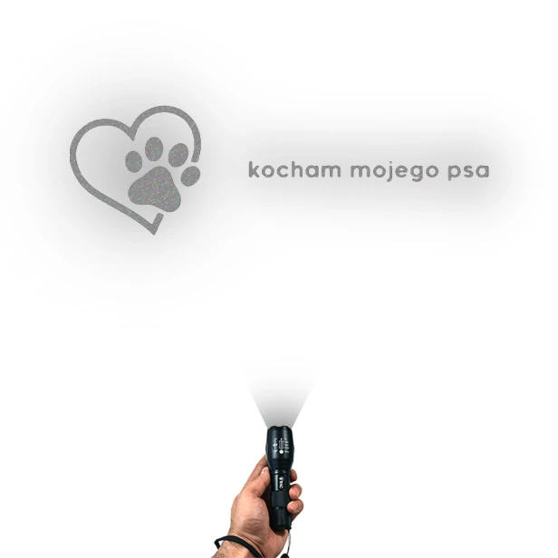 3991.webp