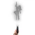3979.webp