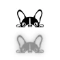 3974.webp