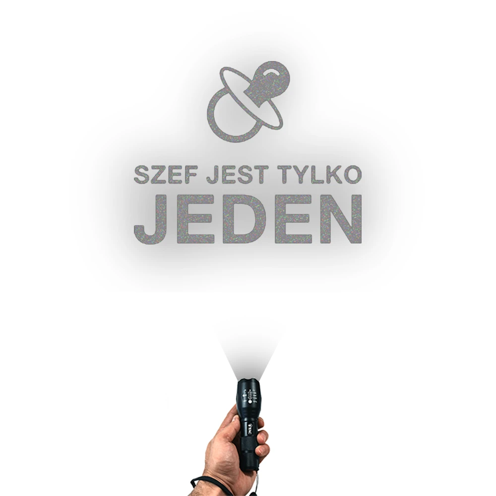 3951.webp