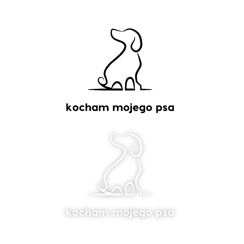3551.webp