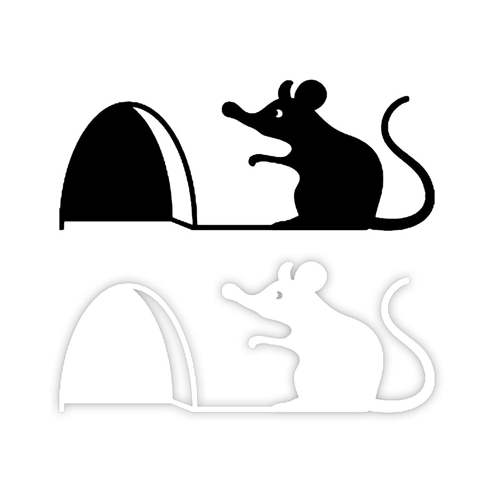 2939.webp