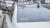 2490.webp