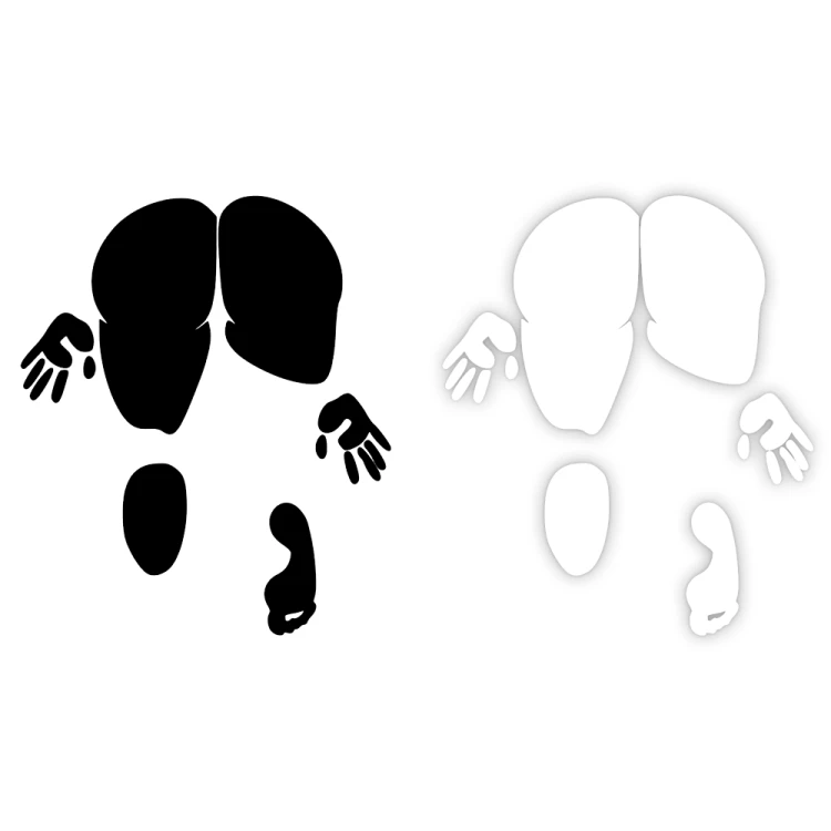 2947.webp