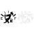 2952.webp