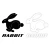 2958.webp