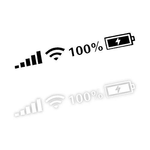 2973.webp