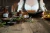 3014.webp